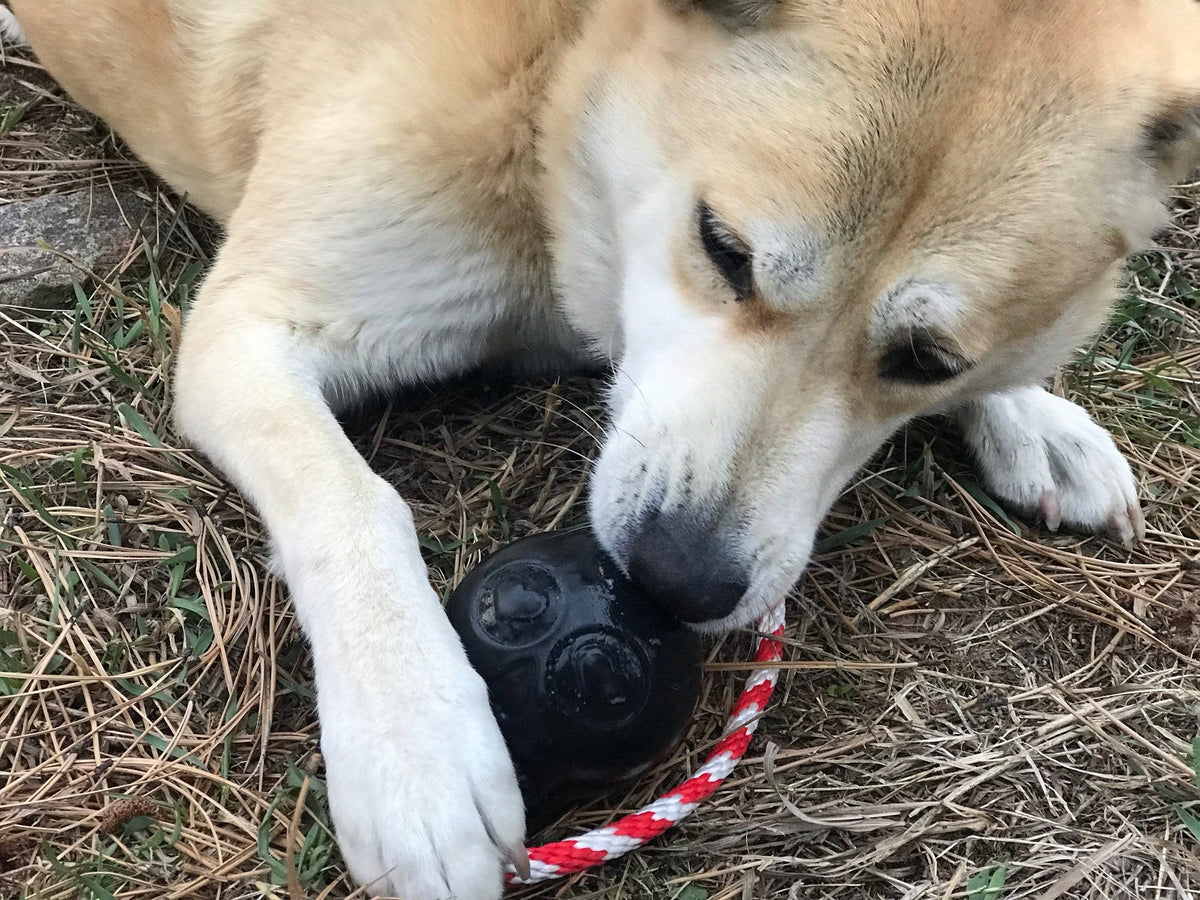 SodaPup USA-K9 Skull Rubber Reward Toy - FurrowpetstoreToysSodaPup/True Dogs, LLC