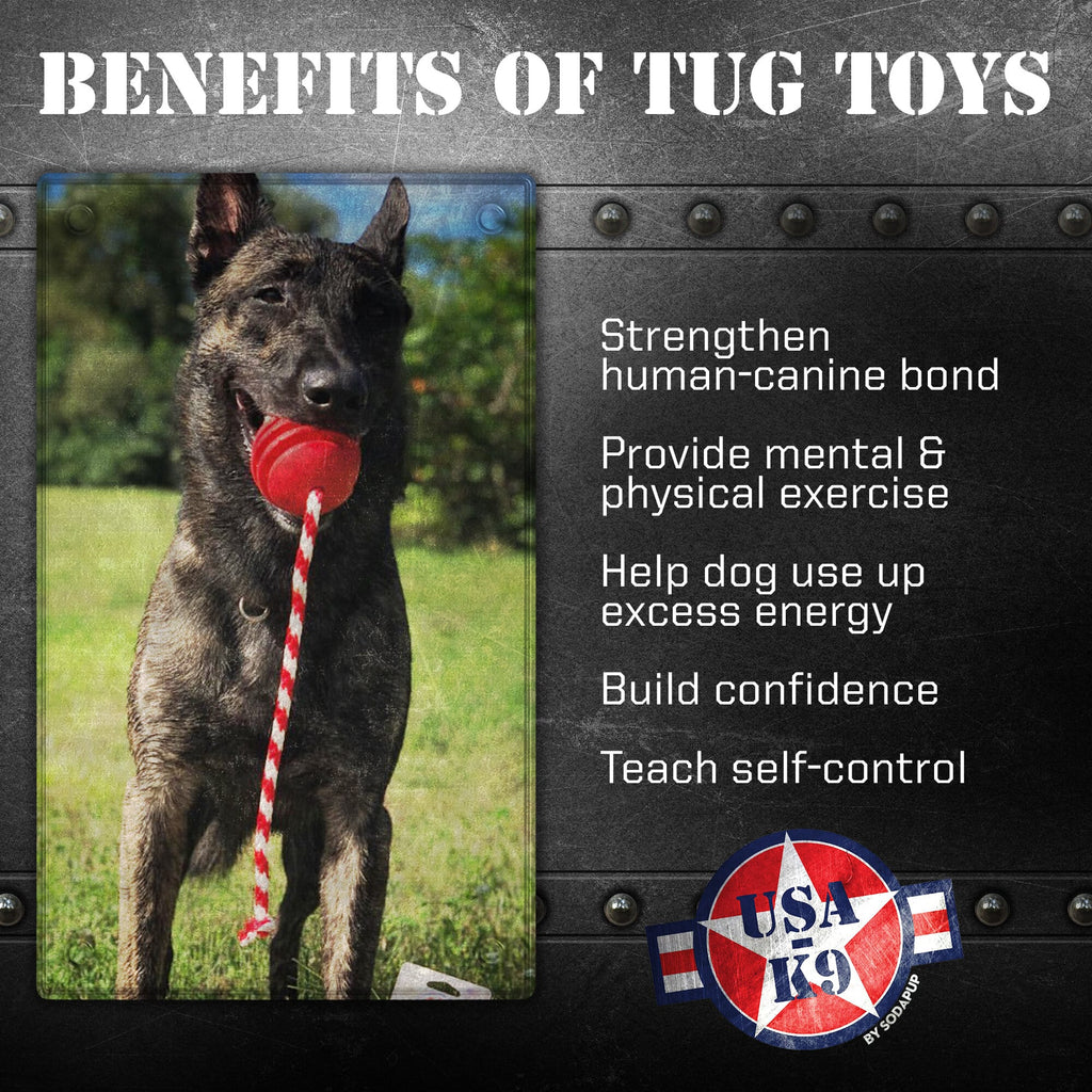 SodaPup USA-K9 Stars and Stripes Rubber Reward Ball - FurrowpetstoreToysSodaPup/True Dogs, LLC