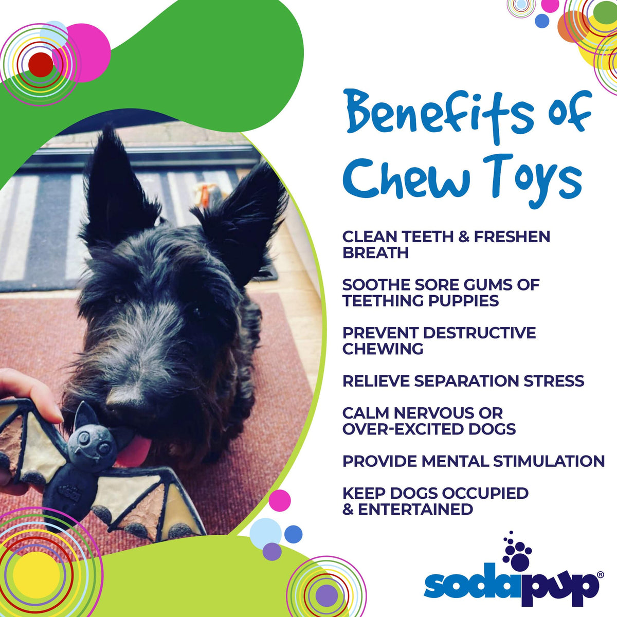 SodaPup Vampire Bat Nylon Chew Toy - FurrowpetstoreToysSodaPup/True Dogs, LLC