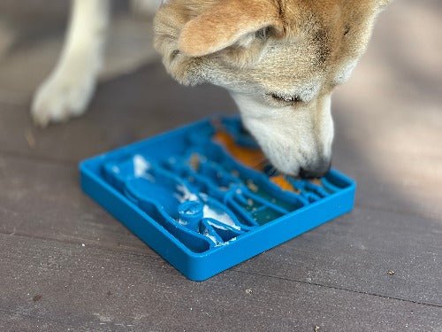 SodaPup Waiting Dogs eTray Shallow Slow Feeder - FurrowpetstoreBowls, Feeding & EnrichmentSodaPup/True Dogs, LLC