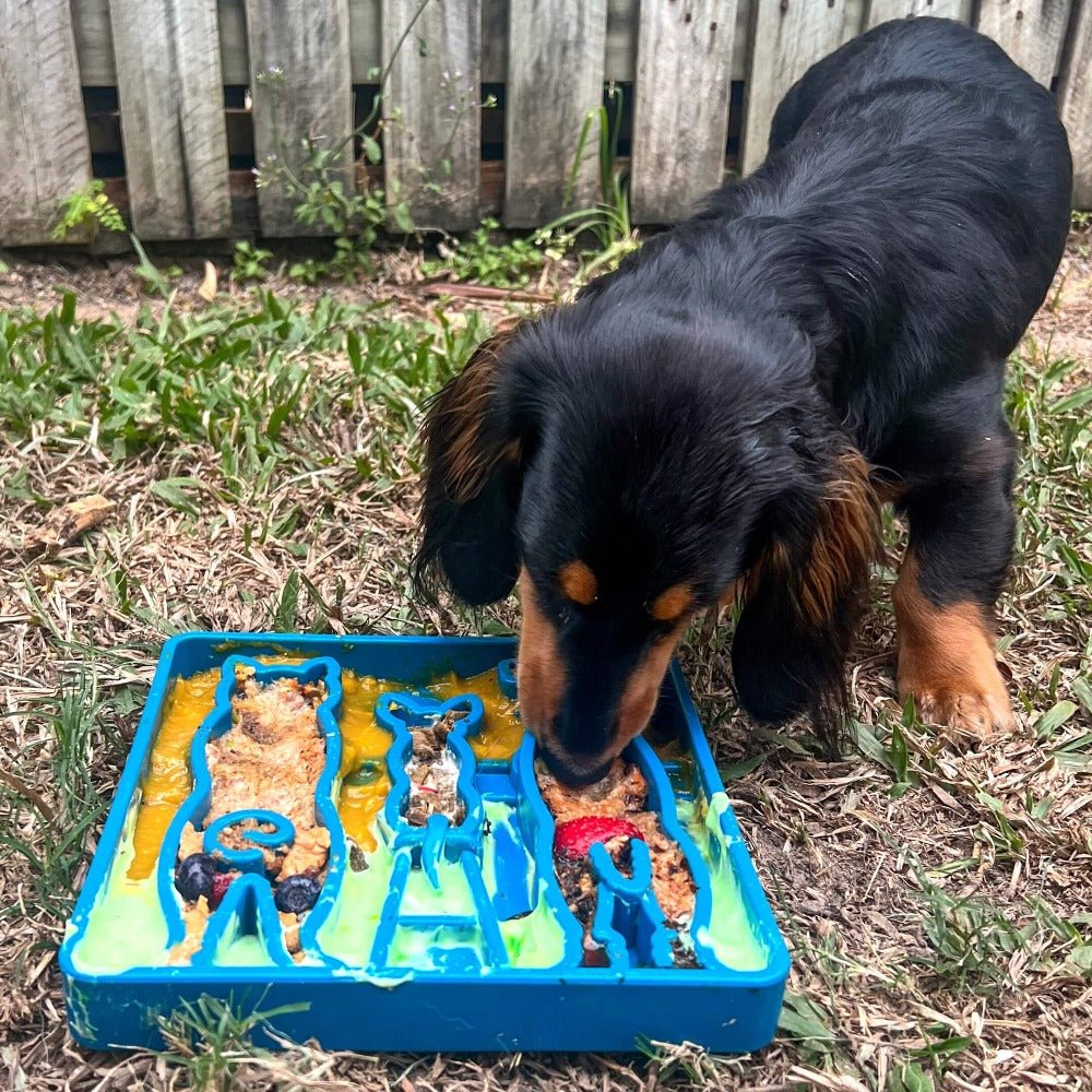 SodaPup Waiting Dogs eTray Shallow Slow Feeder - FurrowpetstoreBowls, Feeding & EnrichmentSodaPup/True Dogs, LLC