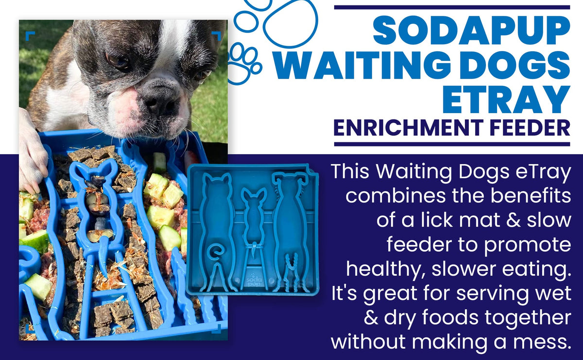 SodaPup Waiting Dogs eTray Shallow Slow Feeder - FurrowpetstoreBowls, Feeding & EnrichmentSodaPup/True Dogs, LLC