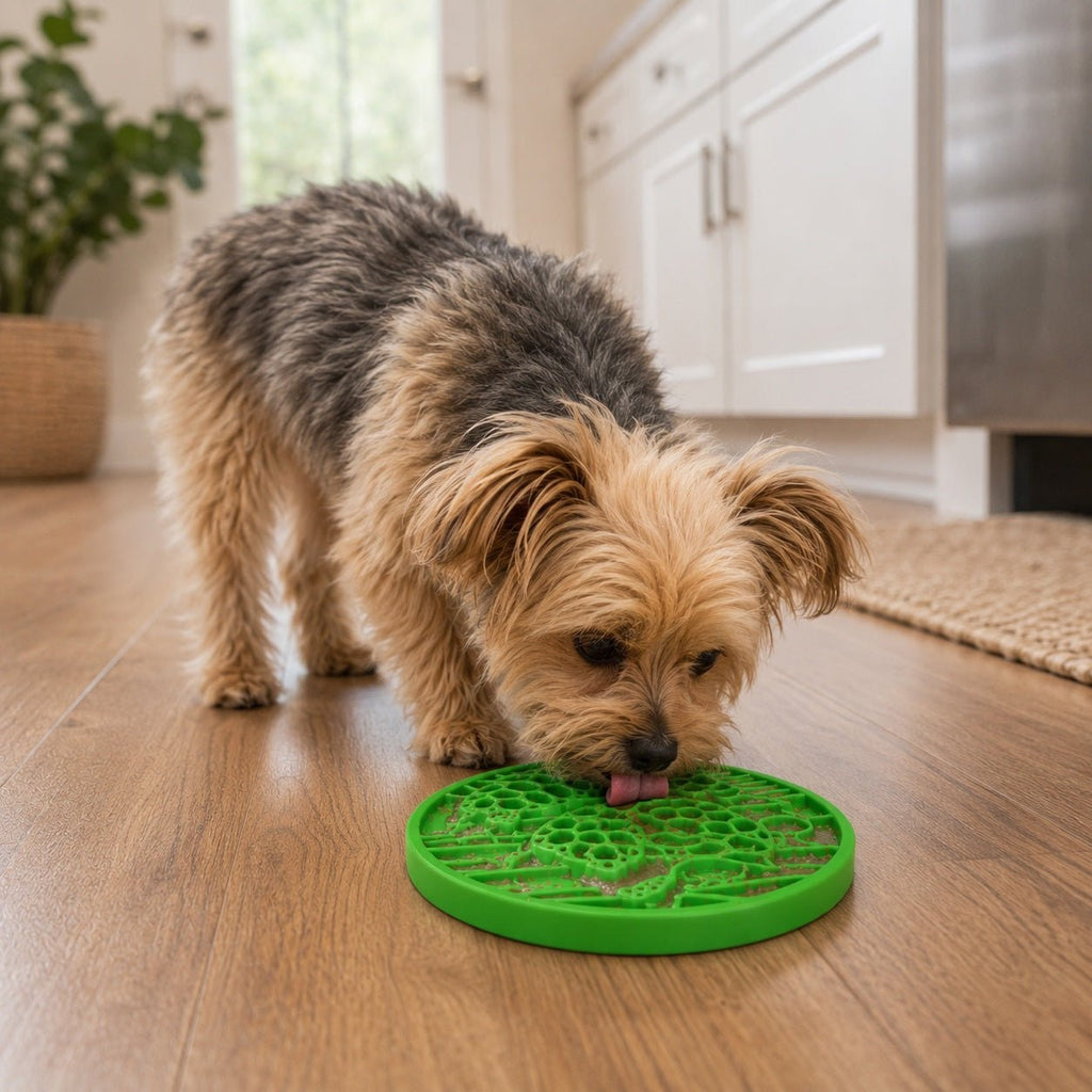 SodaPup Water eCoin Nylon Lick Disc - FurrowpetstoreBowls, Feeding & EnrichmentSodaPup/True Dogs, LLC
