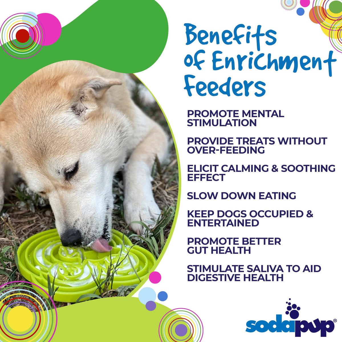 SodaPup Water Frog eTray Shallow Slow Feeder - FurrowpetstoreBowls, Feeding & EnrichmentSodaPup/True Dogs, LLC