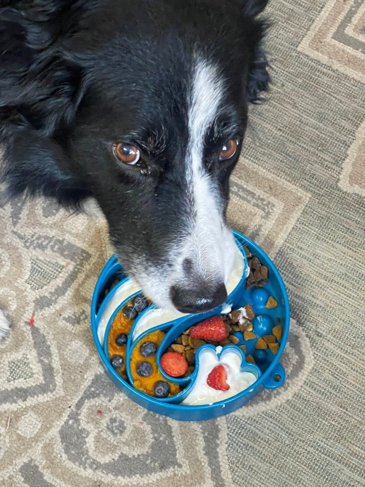 SodaPup Wave eBowl Deep Slow Feeder Bowl - FurrowpetstoreBowls, Feeding & EnrichmentSodaPup/True Dogs, LLC