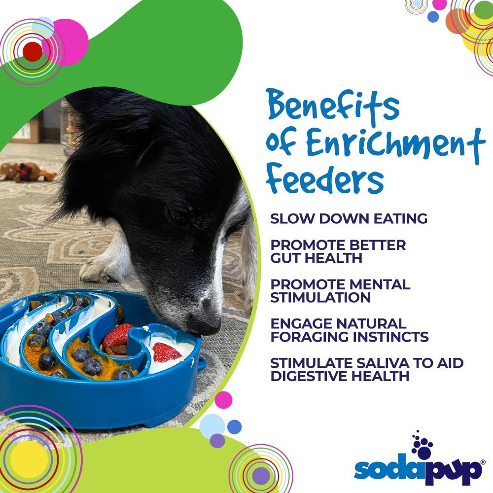 SodaPup Wave eBowl Deep Slow Feeder Bowl - FurrowpetstoreBowls, Feeding & EnrichmentSodaPup/True Dogs, LLC