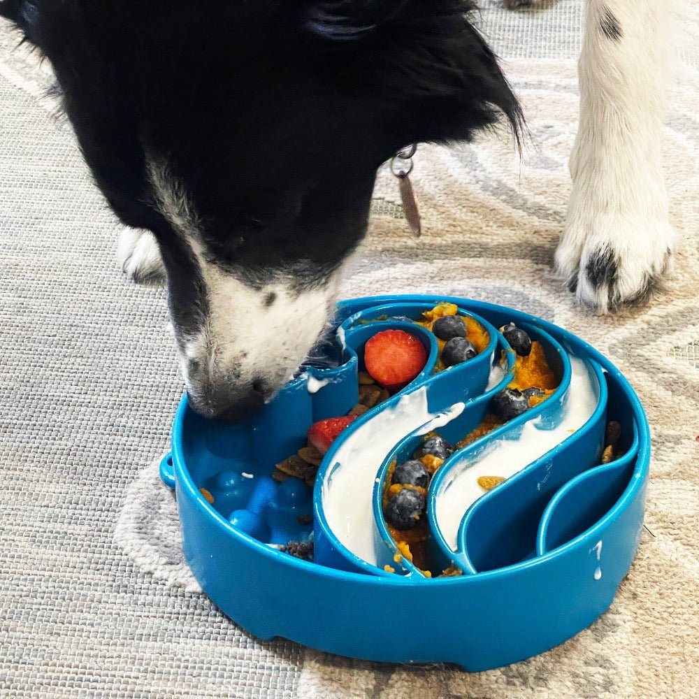 SodaPup Wave eBowl Deep Slow Feeder Bowl - FurrowpetstoreBowls, Feeding & EnrichmentSodaPup/True Dogs, LLC