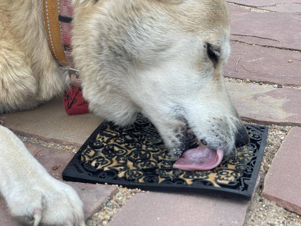 SodaPup Zombie eMat Halloween Lick Mat - FurrowpetstoreBowls, Feeding & EnrichmentSodaPup/True Dogs, LLC