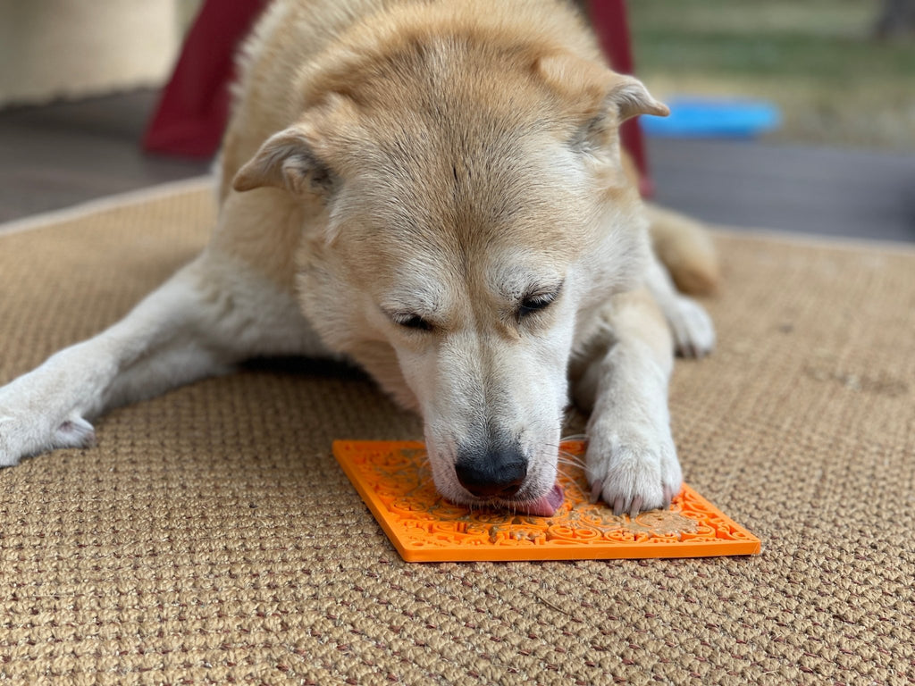SodaPup Zombie eMat Halloween Lick Mat - FurrowpetstoreBowls, Feeding & EnrichmentSodaPup/True Dogs, LLC